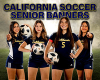 2024 California Soccer Banners W