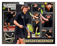 DawsonCollage