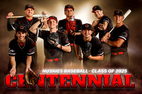 2025 Centennial Baseball Banners