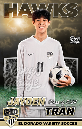 M_11JaydenTran