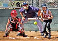 2012 Spring PYLGSA 12U Knockouts