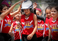 2014 PYL 8U Premier