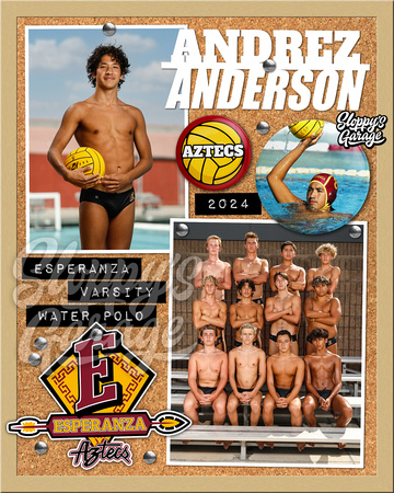 AndersonSmBB